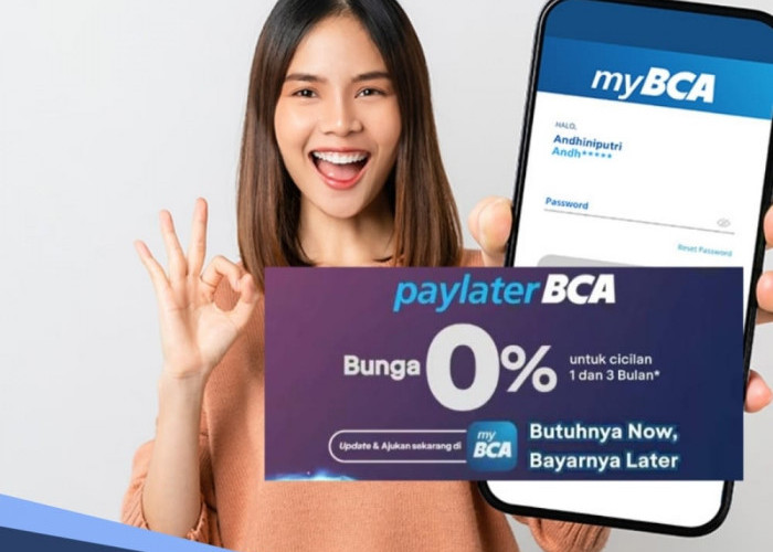 BCA Luncurkan Paylater, Begini Cara Registrasi Paylater BCA, Bisa Dapat Rp 20 Juta dengan Bunga 0 Persen 