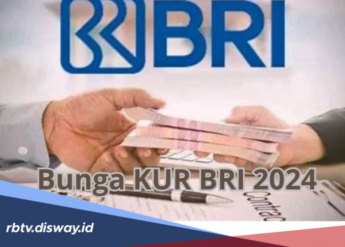 Ketahui Besaran Bunga KUR BRI 2024, Tabel Angsuran Rp 10 Juta - Rp 100 Juta, Tenor Panjang hingga 60 Bulan