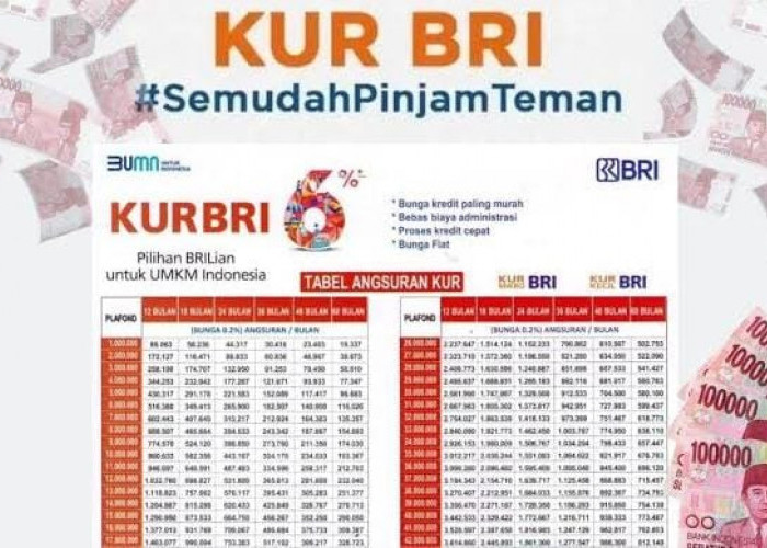 Berapa Kali Bisa Pinjam KUR BRI? Berikut Info Terbaru KUR BRI Januari 2024 dan Besaran Bunganya