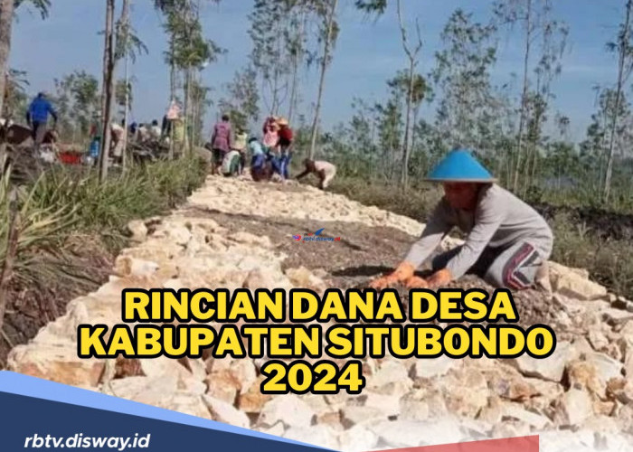 Cek di Sini! Ini Rincian Dana Desa Kabupaten Situbondo 2024 Terbaru di Setiap Desa 