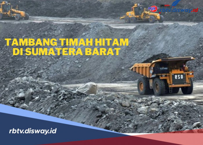 5 Kabupaten di Sumatera Barat Ini Simpan Harta Karun Tambang Timah Hitam, Cadangannya 889.825 Ton