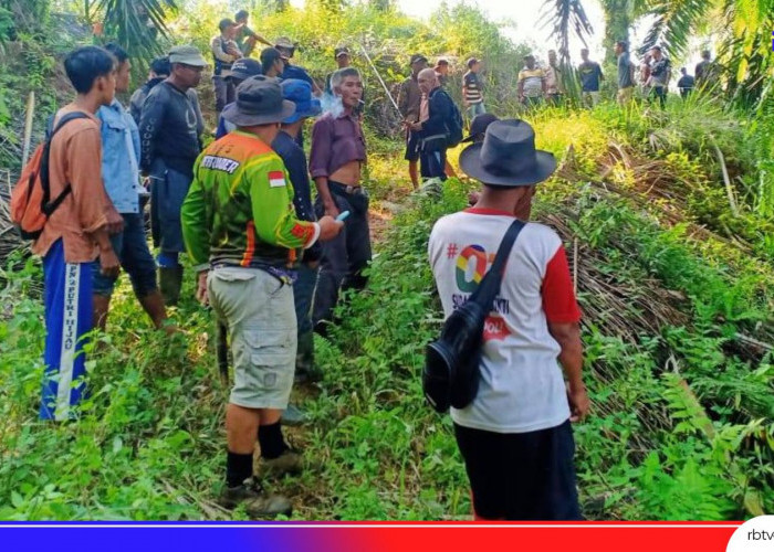 Perseteruan Petani Versus PT. DDP Mukomuko Berujung Penjara 