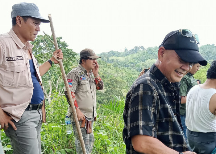 Siapkan Berkas Lamaran, di Seluma Bakal Berdiri 3 Unit Pabrik CPO Baru