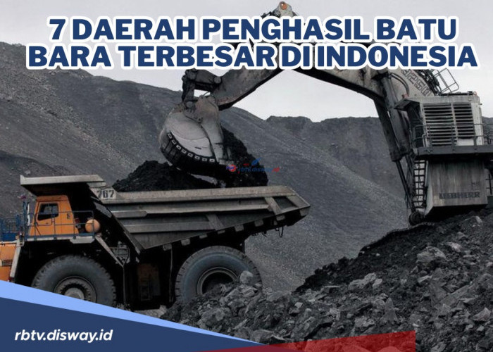 Ini 7 Daerah Penghasil Batu Bara Terbesar di Indonesia, Ada di Sumatera Barat, Sumatera Selatan dan Kalsel