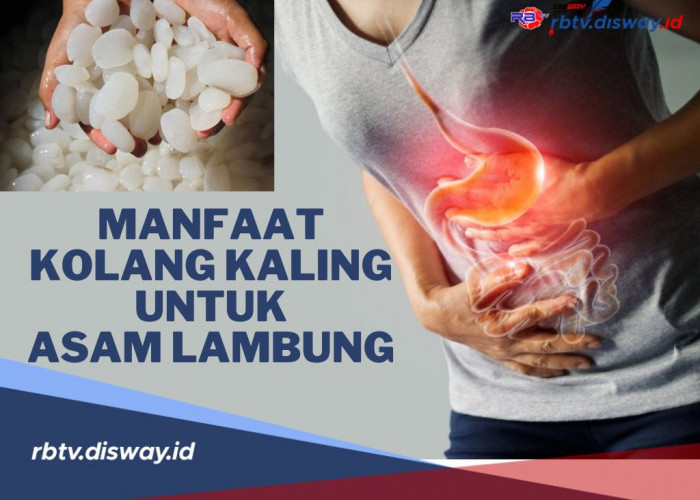 Manfaat Kolang Kaling dan  Serta Tips Mengolah Kolang Kaling Bagi Penderita Asam Lambung