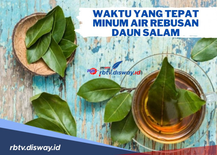 Ini Waktu yang Tepat Minum Air Rebusan Daun Salam agar Dapat Manfaat yang Optimal