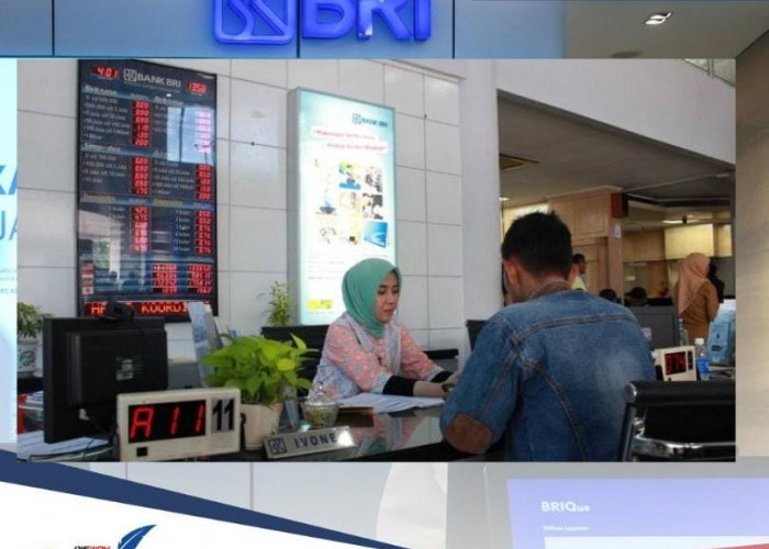 Panduan KUR BRI 2024, Intip Tabel Cicilan Terbaru Kredit Rp 50 Juta Cair Tanpa Jaminan 