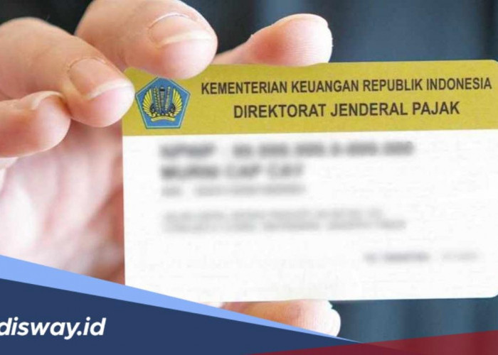 Apakah Kredit Mobil Butuh NPWP serta 5 Tips Pengajuan Kredit Mobil Agar Aman dan di ACC