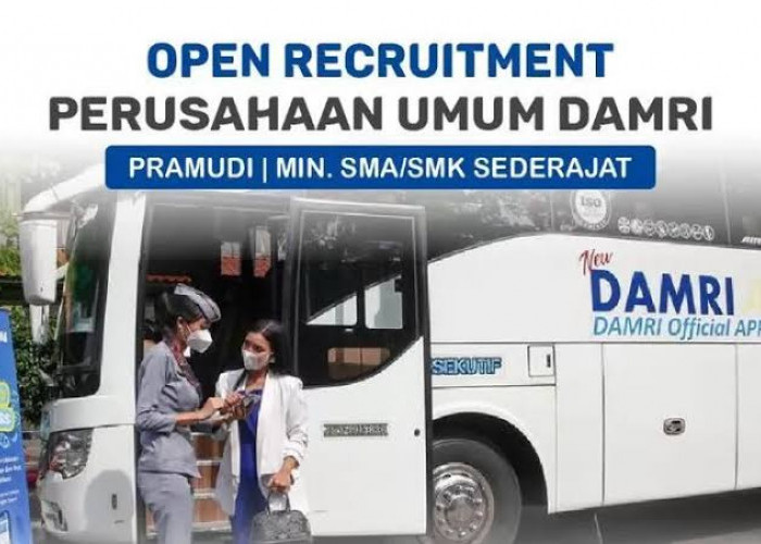 Kesempatan Besar, Perum DAMRI Buka Lowongan Untuk SMA dan SMK, Cek Cara Daftarnya Disini