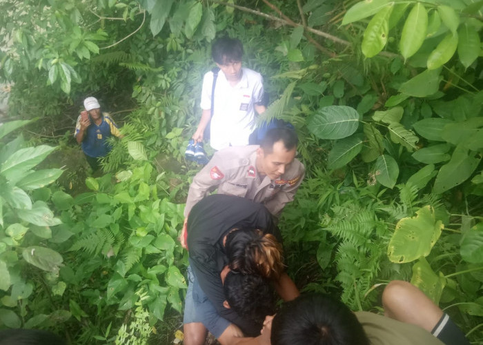 Keluar Jalur, Sepeda Motor Terjun Bebas ke Jurang di Desa Aur Ringit Kaur