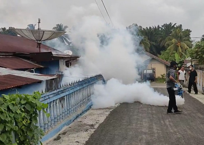 Awas untuk Warga Mukomuko, DBD Mulai Menyerang, Begini Gejala DBD