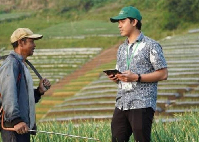 Cara Lulus Seleksi Mitra Statistik BPS 2024, Pelajari Contoh Soal Tes Logika Umum Berikut