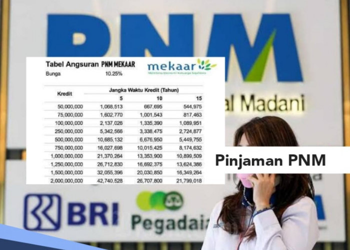 KUR PNM 2024 Pinjam Rp 5 Juta Angsuran Ringan, Lengkapi Syarat Pengajuan Berikut