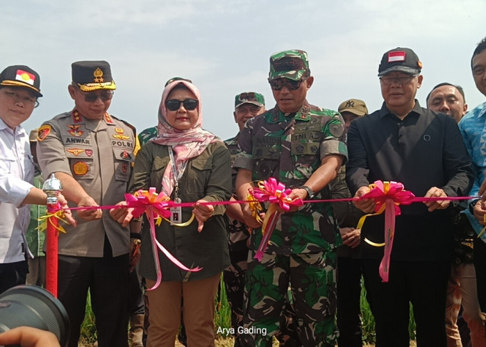 Pangdam II/Sriwijaya Bersama Gubernur Rohidin Resmikan Irpom di Seluma untuk Atasi Krisis Air Persawahan