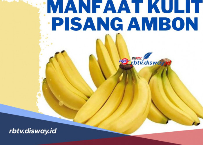 Jangan Dibuang! Ini Manfaat Kulit Pisang Ambon untuk Kesehatan, Salah Satunya Melancarkan Pencernaan