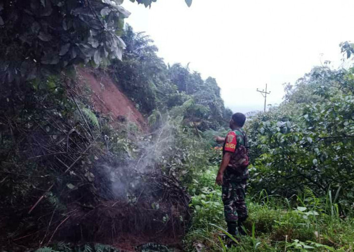 Jalan Lintas Curup-Lubuk Linggau Tertimbun Longsor