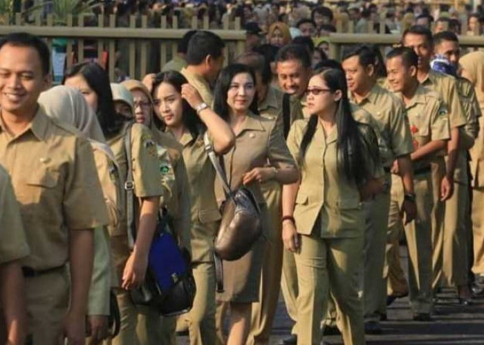 Berikut Daftar Nama Honorer Se-Indonesia yang Disebut akan Diangkat ASN Tanpa Tes. Cek Daftar 2 