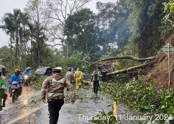 Longsor di Liku Sembilan, Satu Keluarga Terpaksa Diungsikan