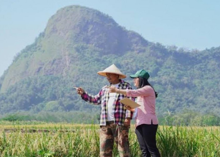 Peluang Lulus Tes Kompetensi Mitra Statistik BPS 2024, Cermati Contoh Soal Logika Umum dan Analogi Berikut