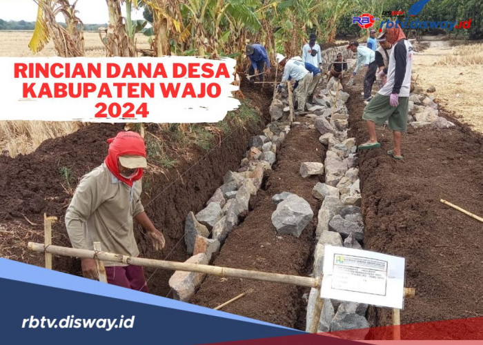 Rincian Dana Desa Kabupaten Wajo 2024, Ada Desa yang Dapat Alokasi Lebih dari Rp 1 Miliar