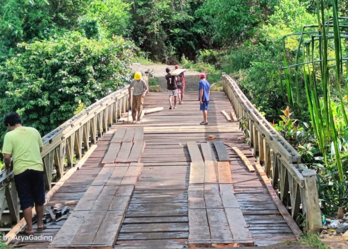 Alhamdulilah, Jembatan Napal Jungur - Lubuk Terentang Mulai Direhab