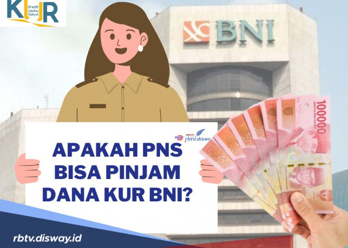 Sering Timbul Pertanyaan, Apakah PNS Bisa Pinjam Dana KUR BNI?