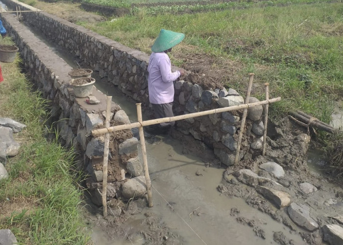 Lowongan Kerja Pendamping Lokal Desa, Pendapatan hingga Rp 9 Juta, Berikut Lama Kontrak Kerjanya