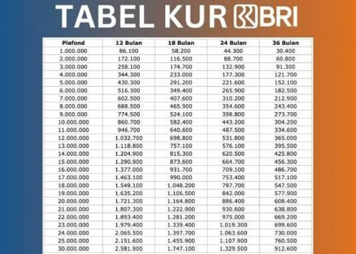 Tabel Angsuran KUR BRI Rp10 - 50 Juta Terbaru 2024, Bunga 6 Persen Tenor Maksimal 3 Tahun