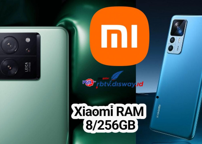 Rekomendasi HP Xiaomi 8/256 GB 5G Terbaru, Hasil Foto Memuaskan dengan Kamera 108MP