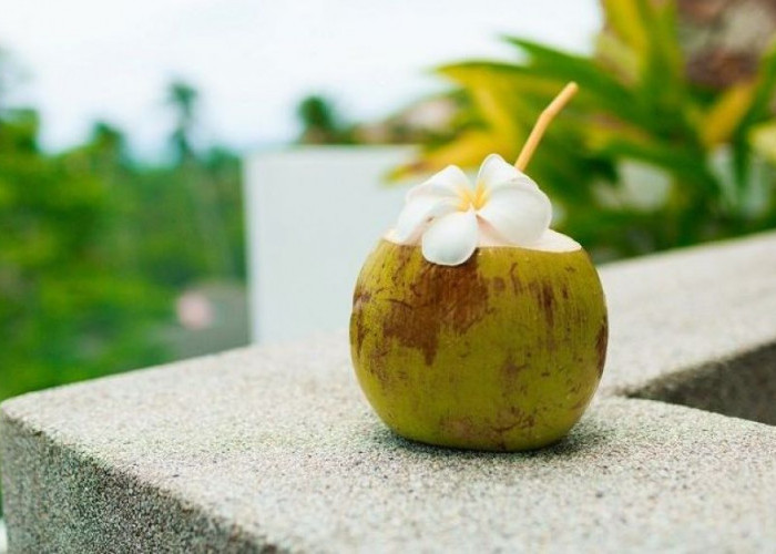 Setop!!! 5 Orang Ini Dilarang Minum Air Kelapa, Bisa Berbahaya