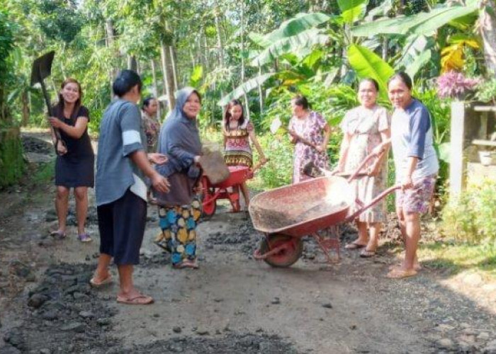 Cair Lagi, Ini Rincian Dana Desa di Kabupaten Tanjung Jabung Barat Tahun 2024, Lengkap 