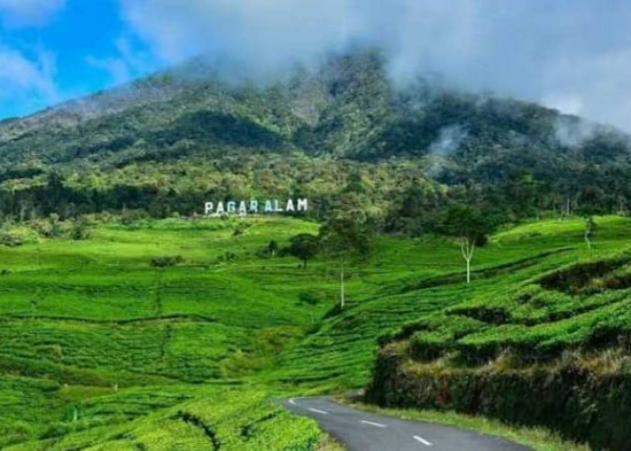 Cocok Tempat Bulan Madu, Ini Daerah Terdingin di Sumatera, Nomor 1 Disebut Kota Dingin Tanpa Salju 