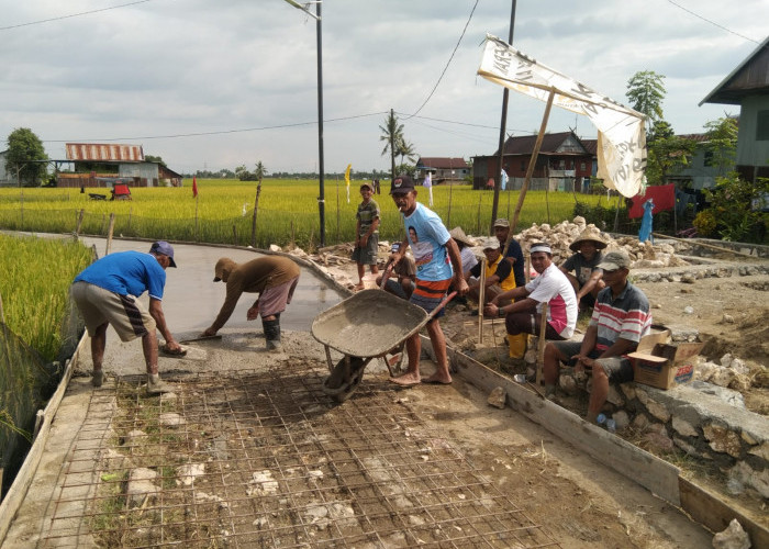 Tabel Rincian Dana Desa di Kabupaten Kayong Utara Tahun 2024, Bisa Perbaiki Jembatan yang Rusak