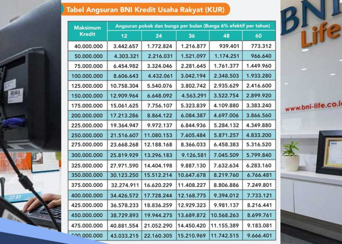 Bank di Daerah Ini Sudah Dapat Kuota KUR, Ini Tabel Angsuran KUR BNI 2024 Pinjaman Rp 50 Juta