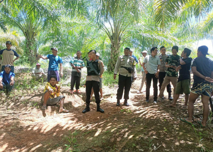 Perkara Batang Sawit, Warga Nasal dan Timur Indah Berselisih Paham, Akibatnya Bikin Heboh