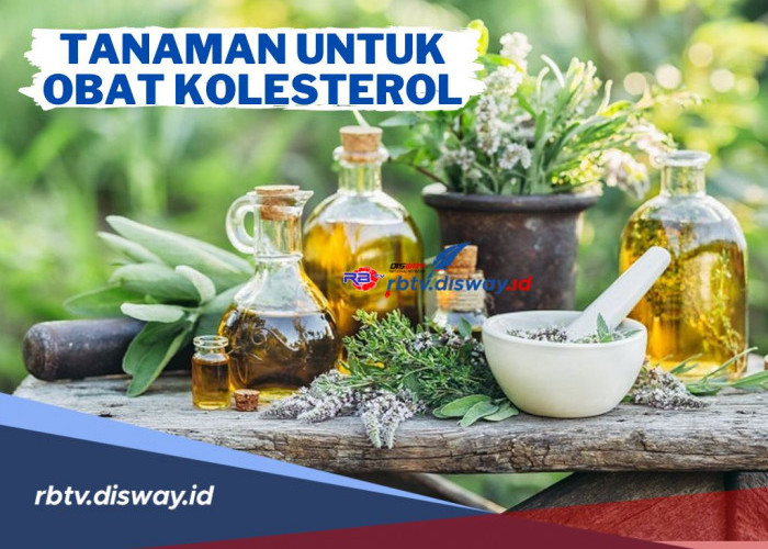 Catat! Ini 11 Tanaman Ampuh untuk Obat Kolesterol, Salah Satunya Daun Suji