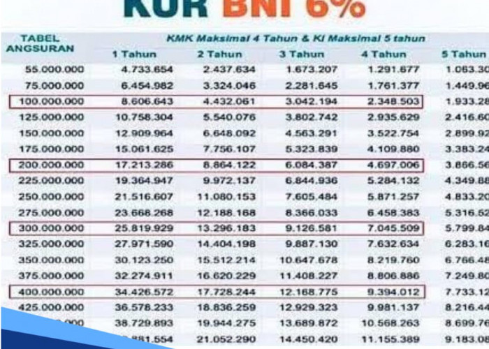 Tabel KUR BNI 2024 Plafon Rp 10-40 Juta Tenor hingga 60 Bulan, Besaran Cicilan Mulai Rp193 Ribuan