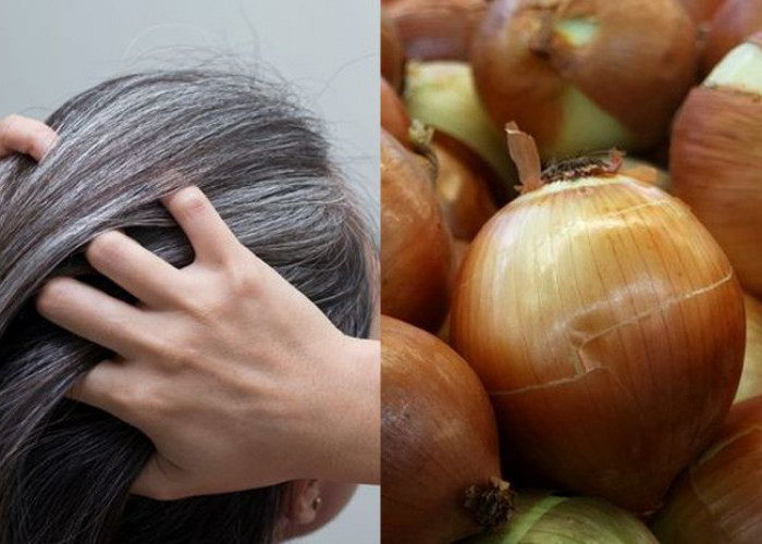 Pakai Bawang Bombay Rambut Jadi Hitam Legam, Sehelaipun Tidak Ada Uban