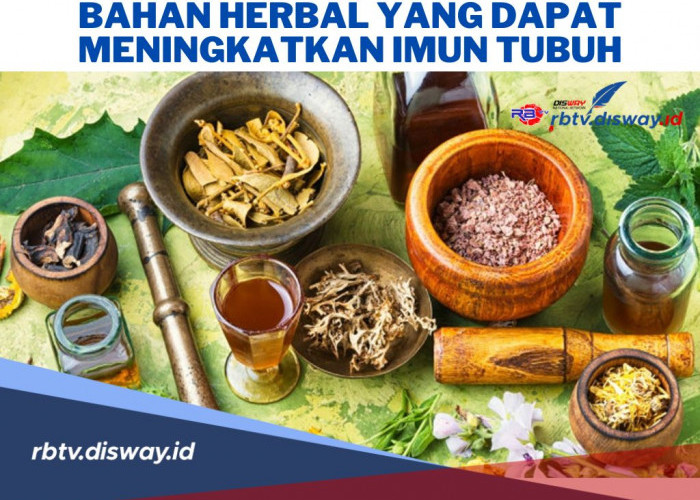 Ngga Perlu Obat! Ini 5 Bahan Herbal yang Dapat Meningkatkan Imun Tubuh