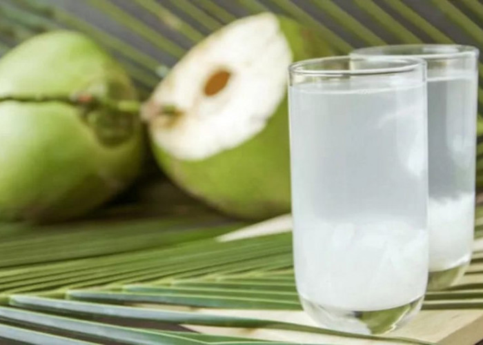 Kaya Manfaat, Air Kelapa Mampu Meredakan Diare, Seberapa Ampuh? Ini Ulasannya