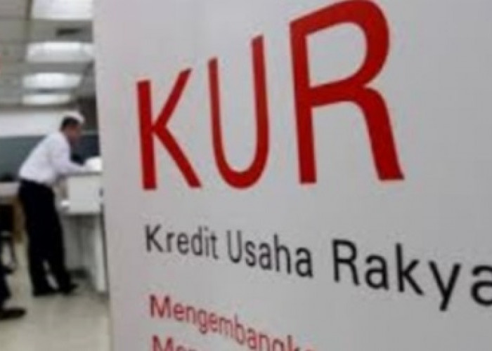  Catat! Ini Perbandingan KUR BCA, Mandiri, BRI serta Pinjaman  di KANTOR POS dan BPJS Hingga Rp 300 Juta