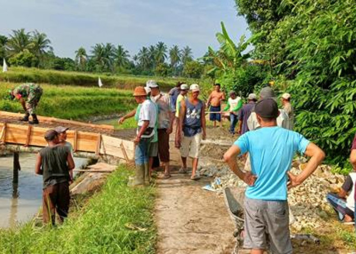 Dana Desa di Kabupaten Kubu Raya Tahun 2024, Cek di Sini Dana Seluruh Desa