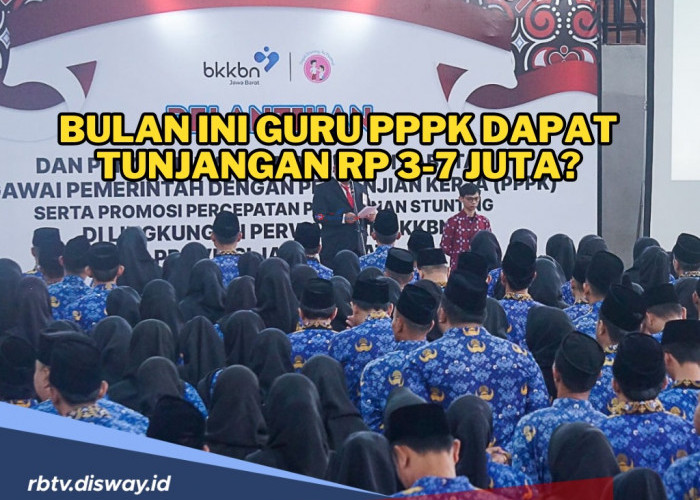 Cair! Ini Jadwal Pembagian Tunjangan Guru PPPK, Lengkapi Syaratnya