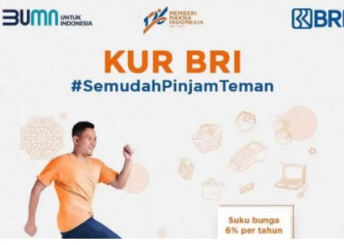 Siapkan KTP dan KK, Suku Bunga   KUR BRI Kecil, Pinjaman Bisa Rp 500 Juta