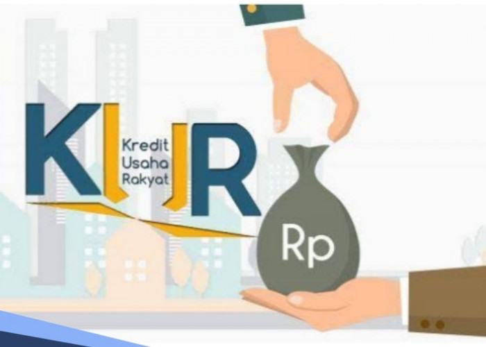 KUR 2024 Dibuka, Pemerintah Kucurkan Anggaran Rp300 Triliun dan Petani Jadi Prioritas