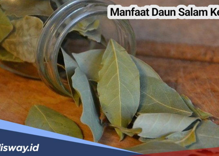 Manfaat Daun Salam Kering Sembuhkan Asam Urat? Begini Cara Mengolahnya