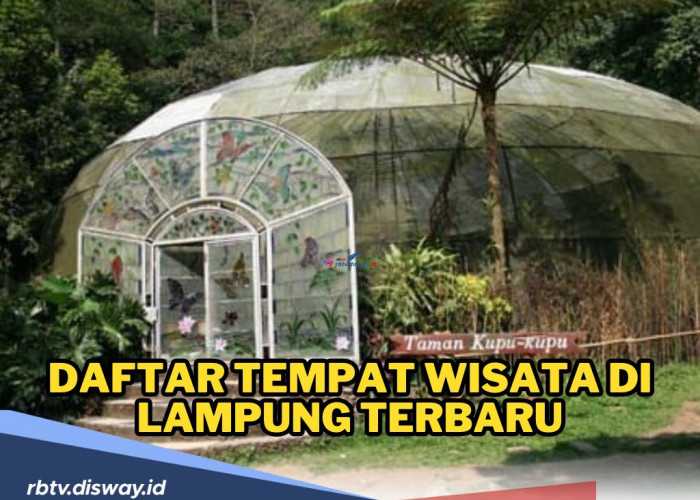 Wajib Dikunjungi! Ini Daftar Tempat Wisata di Lampung Terbaru, Cocok untuk Ajak Keluarga Liburan