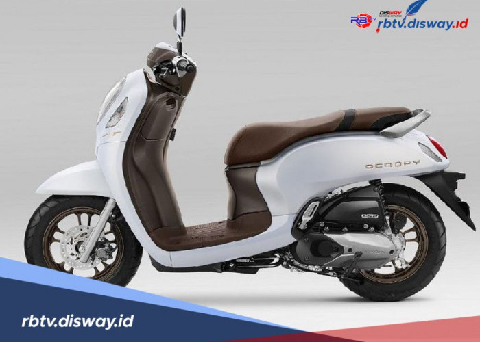 Segini Biaya Pajak Motor Honda Scoopy Keluaran Tahun 2023, Jangan Telat Bayar 