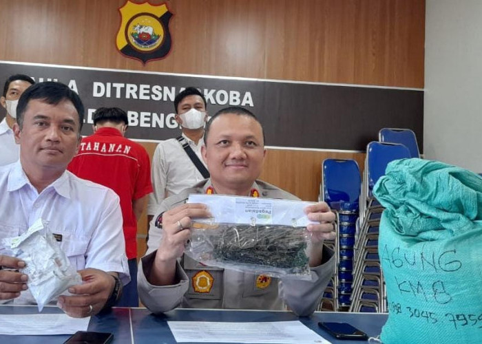 Kurir Ganja Ditangkap, Polisi Amankan Sekarung Barang Bukti, Isinya