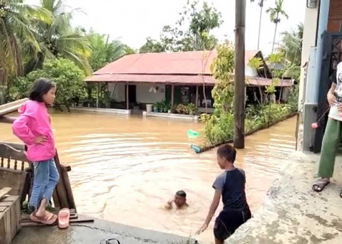 Data BPBD Provinsi: 2 Orang Sempat Hilang di Bengkulu Selatan, 408 Rumah Terendam Banjir